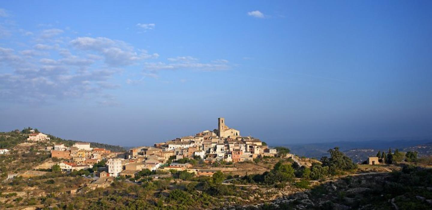 T29_V2Y3768BX0.jpg