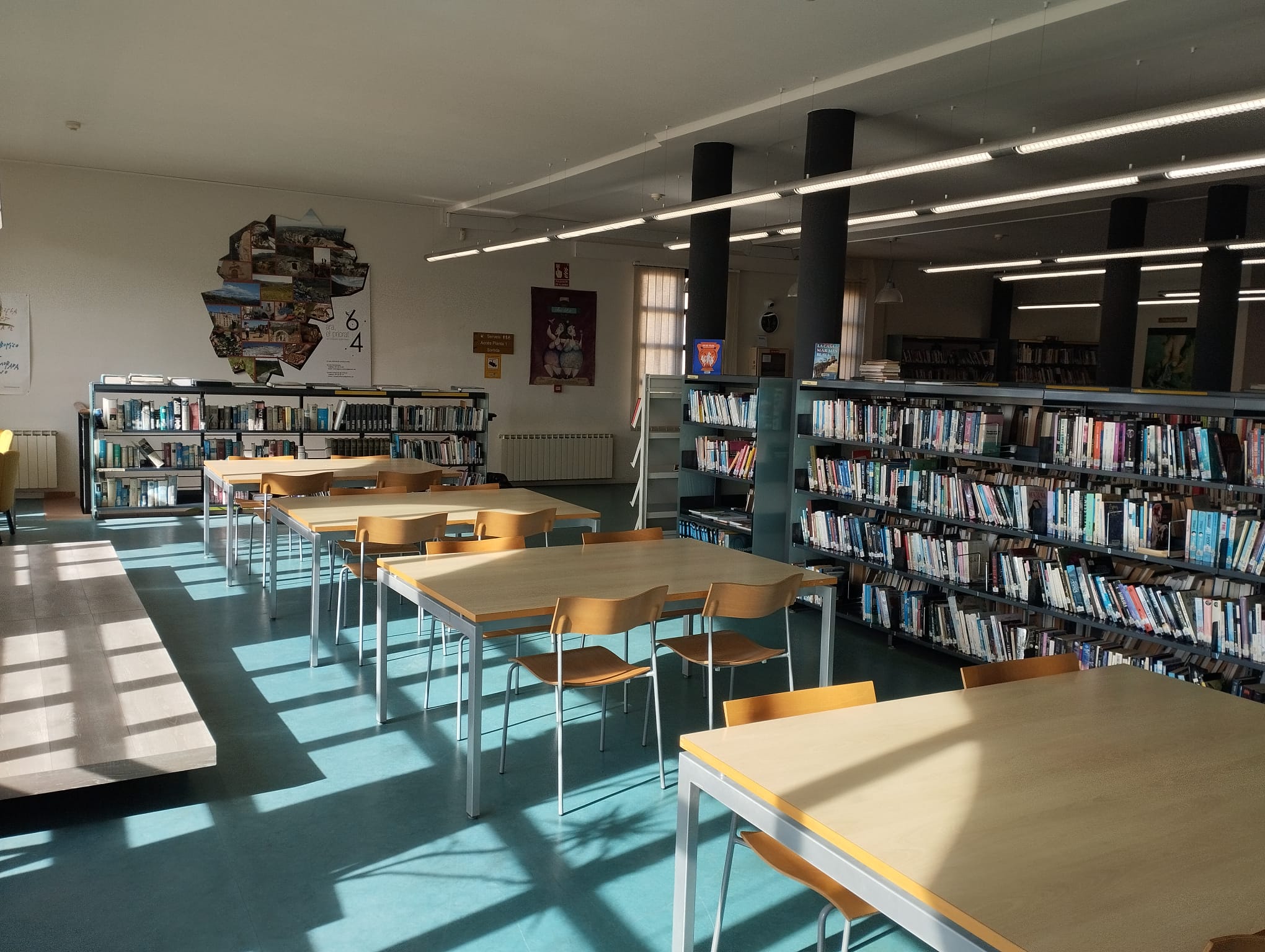 biblioteca2.jpeg